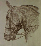 Bonnie Urquhart, The Galloping Artist
