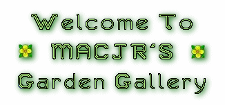 Welcome To MACJR'S Garden Gallery Banner