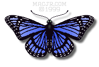 MACJR'S Blue Butterfly