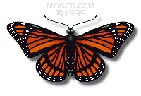 MACJR'S Monarch Butterfly
