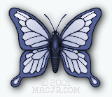 American Blue Tear Butterfly