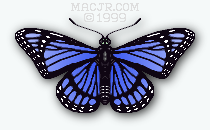 The B version of the 2015 Blue Butterfly