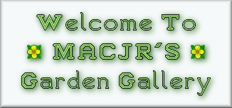 Welcome To MACJR'S Garden Gallery Banner