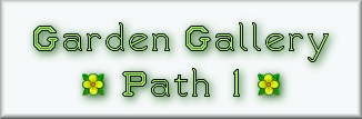 The Garden Gallery Path 1 pages