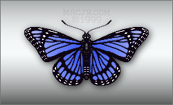 The B version of the 2015 Blue Butterfly button