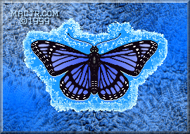 The 2015 revised version of The Frozen Butterfly