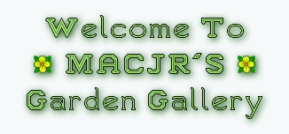 Welcome To MACJR'S Garden Gallery – Header Logo