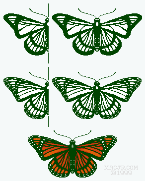 Red Butterfly templates