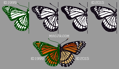 Early drafts of the Viceroy Butterfly