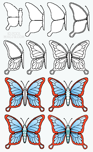 American Tear butterfly, from early drafts to first finished version