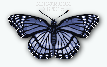 False-color, Blue Viceroy Butterfly