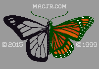 Monarch Butterfly - A Work in Progress