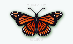 The A version of the 2015 Red Butterfly