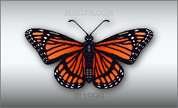 Red Butterfly button (A version)