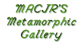 MACJR'S Metamorphic Gallery Logo